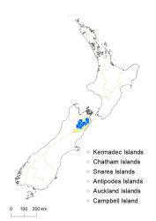 Veronica pentasepala distribution map based on databased records at AK, CHR & WELT.
 Image: K.Boardman © Landcare Research 2022 CC-BY 4.0